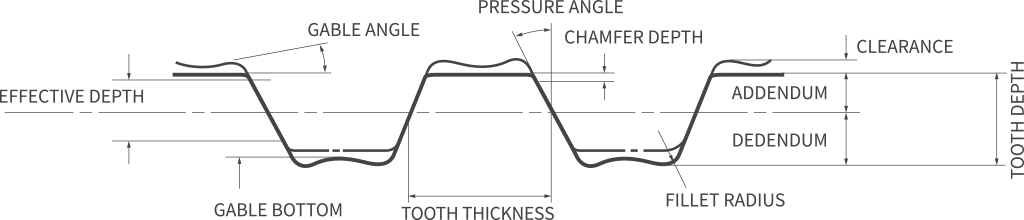 Drawing of Tooth
